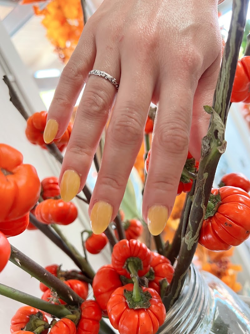 Photo of Puffin Nails