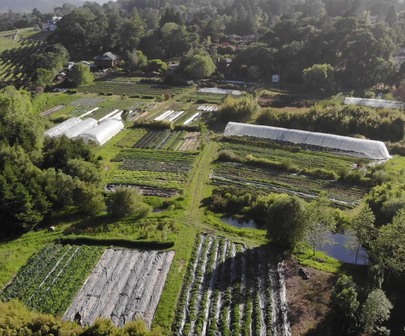Photo of Singing Frogs Farm