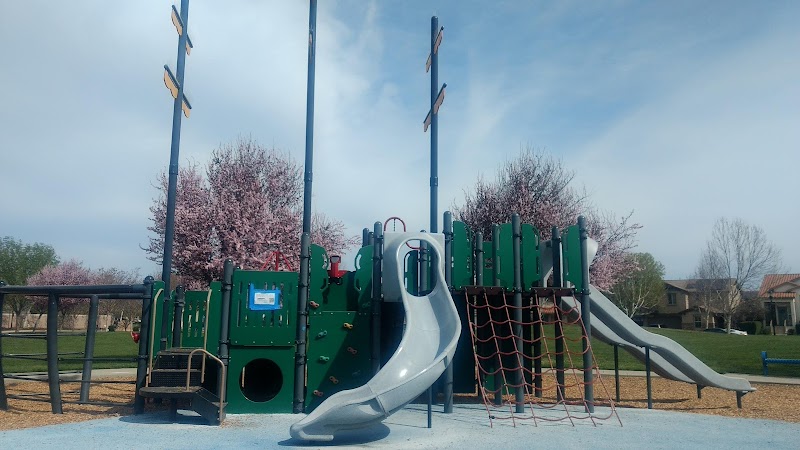 Photo of Daffodil Park