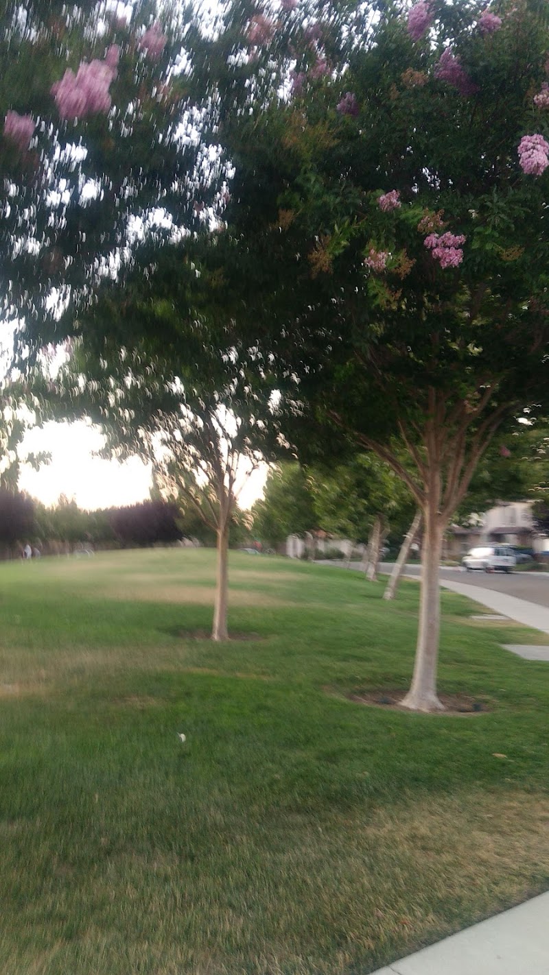 Daffodil Park photo 2