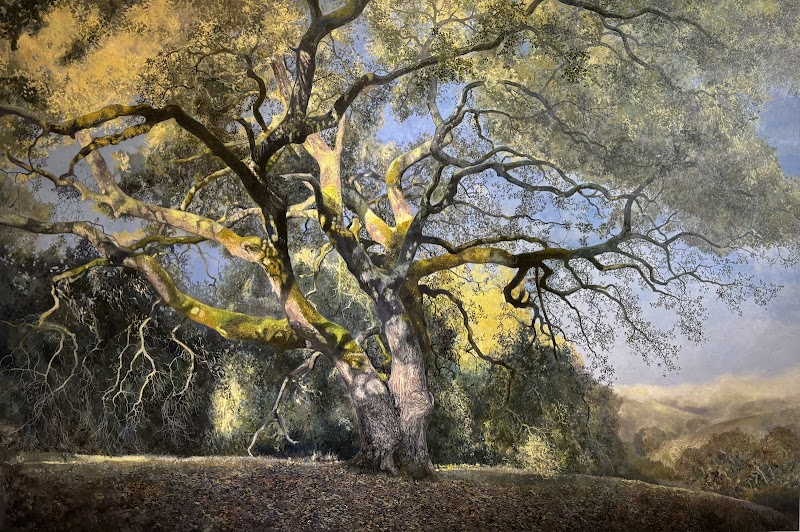 Erickson Fine Art Gallery photo 4