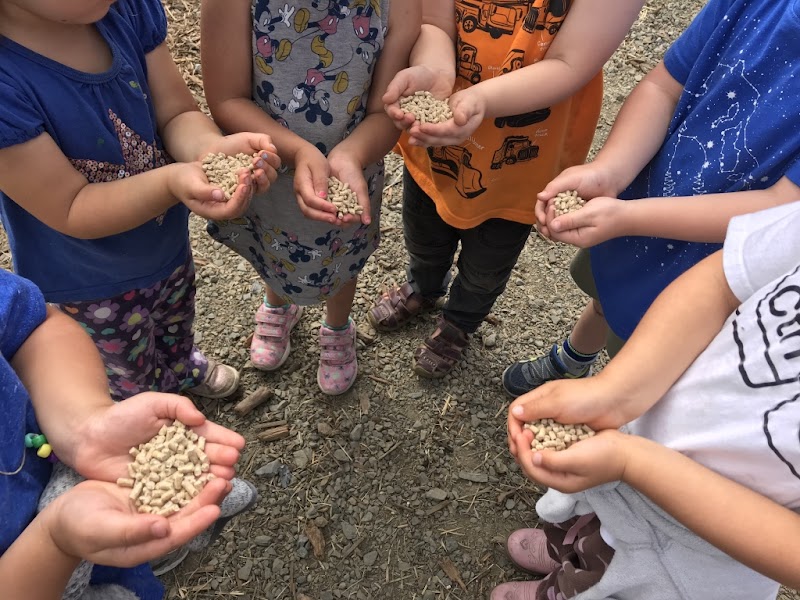 Photo of Rainbow Bridge Montessori