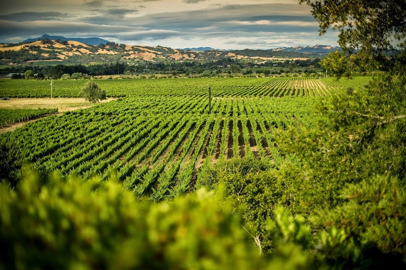 Photo of TWOMEY Russian River Valley