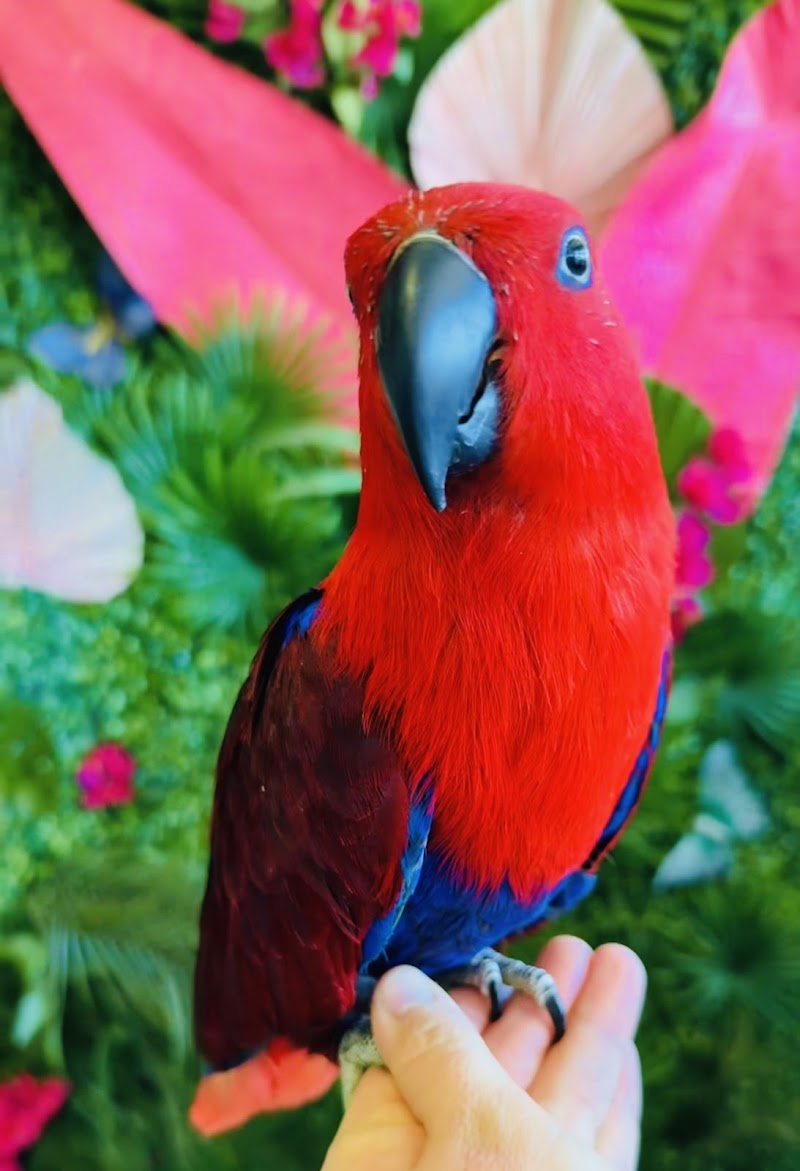 Kimberly's Pet Shop photo 5