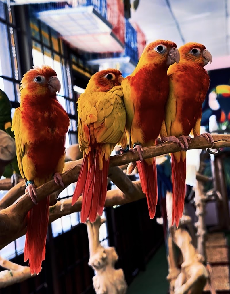 Kimberly's Pet Shop photo 3