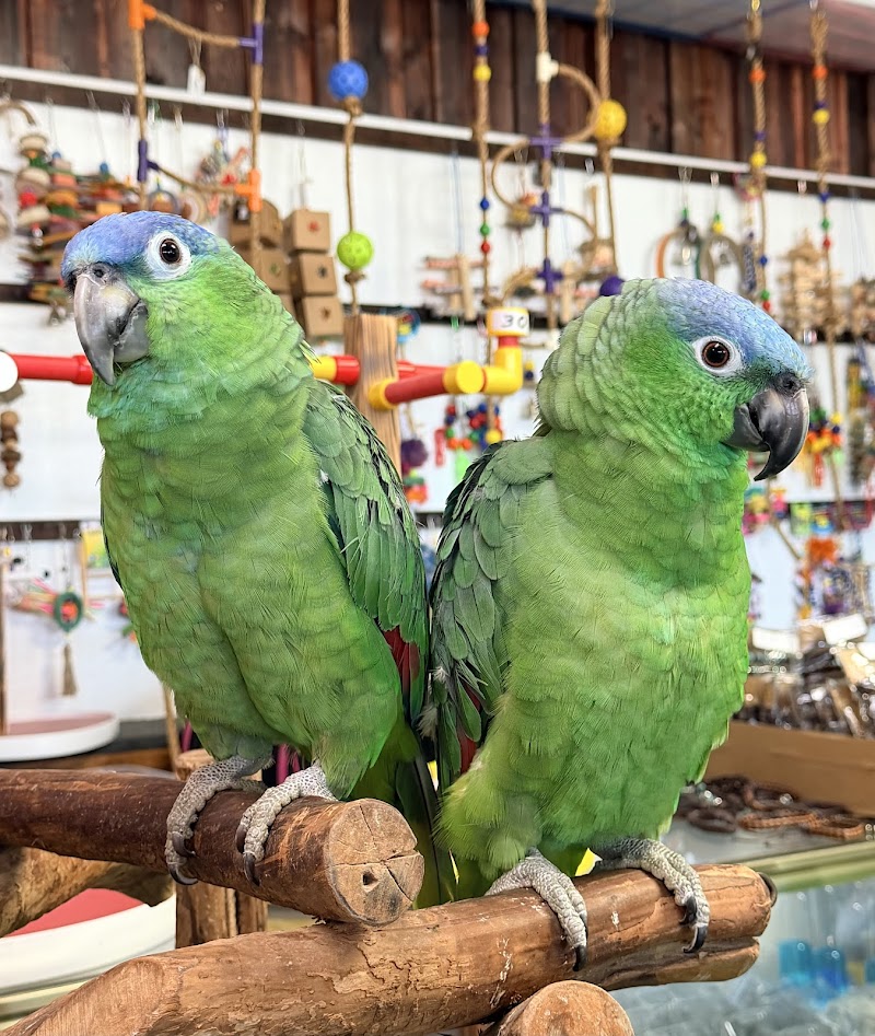 Kimberly's Pet Shop photo 4
