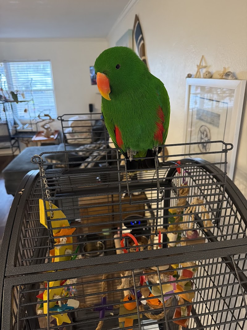 Kimberly's Pet Shop photo 2