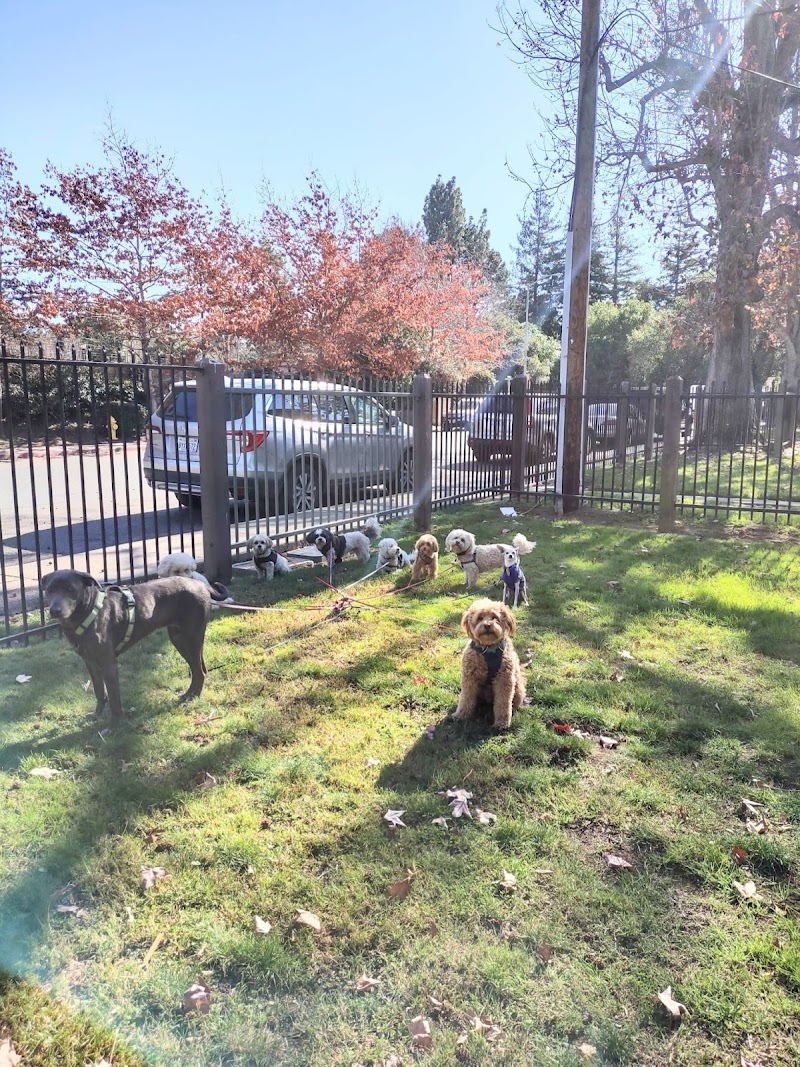 Girly's Pet Sitting photo 2