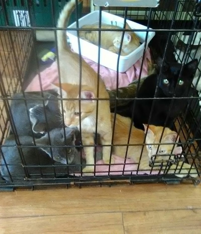 Pet Supermarket photo 2