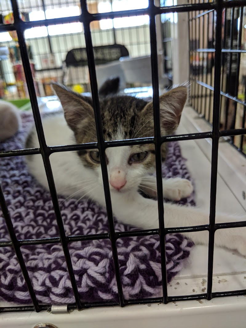 Pet Supermarket photo 3