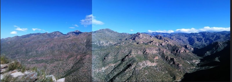 Cactus Picnic Area photo 2