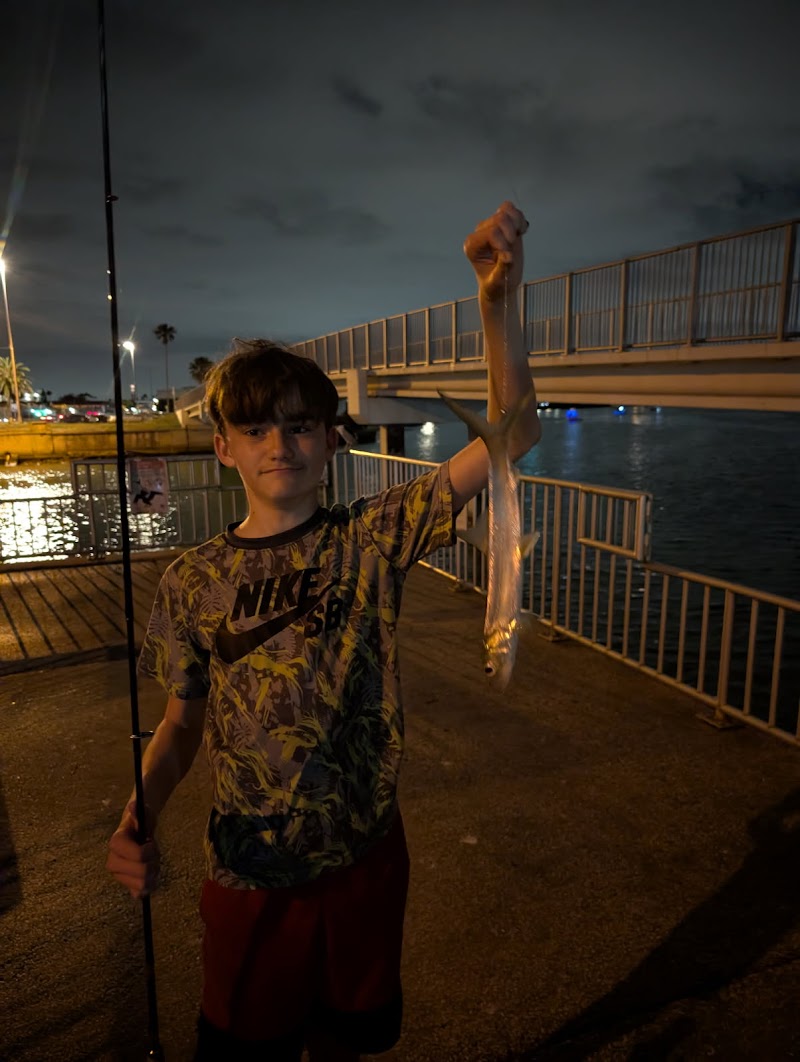 Clearwater Memorial Causeway Fishing Pier photo 3