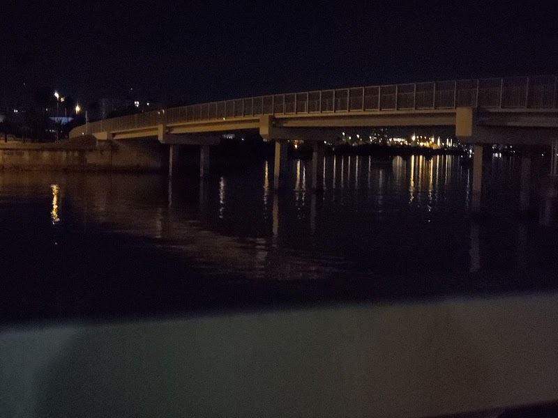 Clearwater Memorial Causeway Fishing Pier photo 4