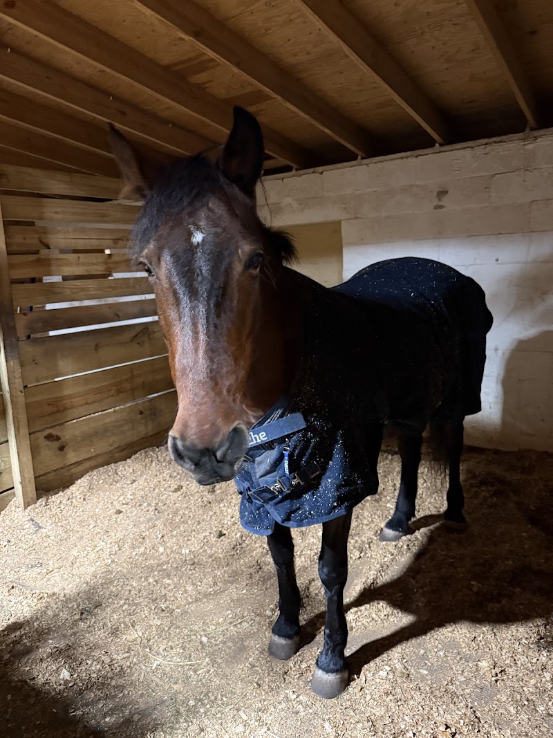 Photo of Side-Pass Stables LLC