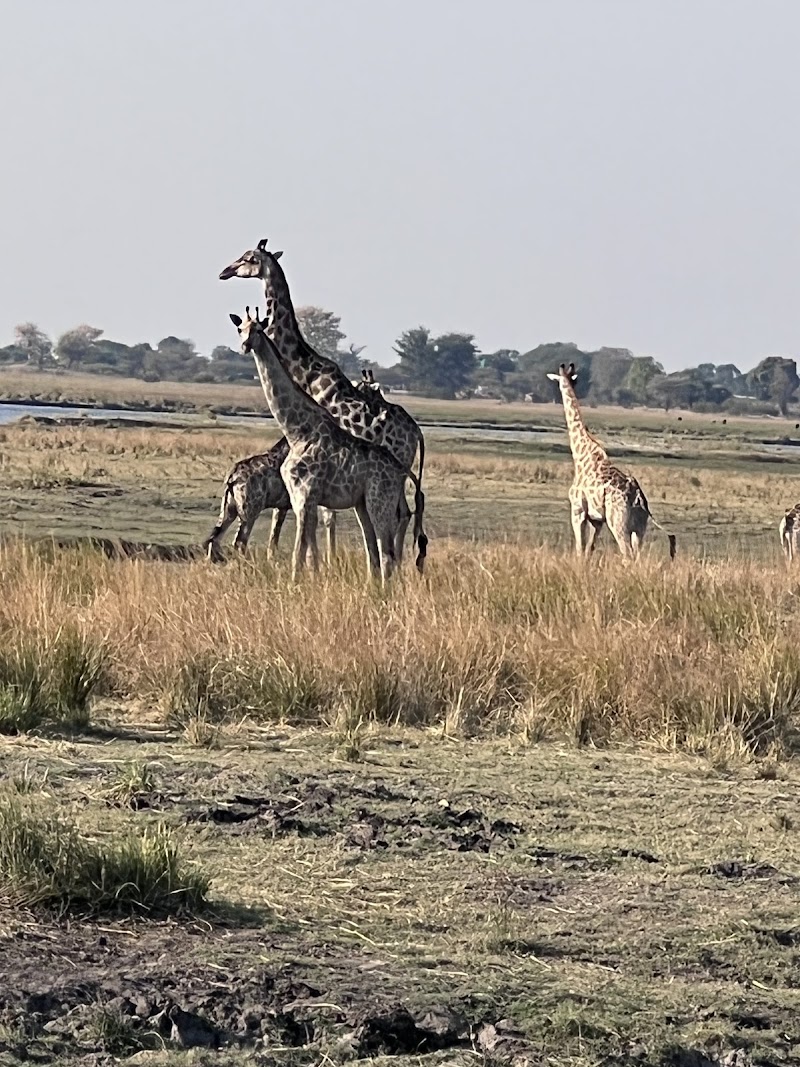 Ventrone Ventures Travel photo 5