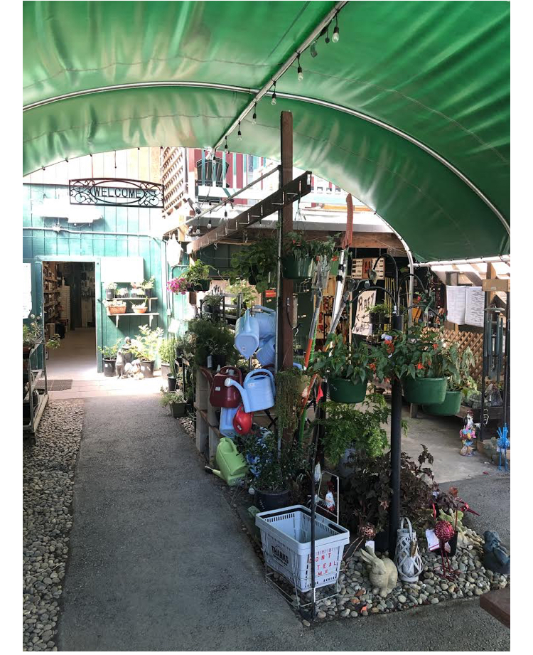 Photo of True Value Garden Center