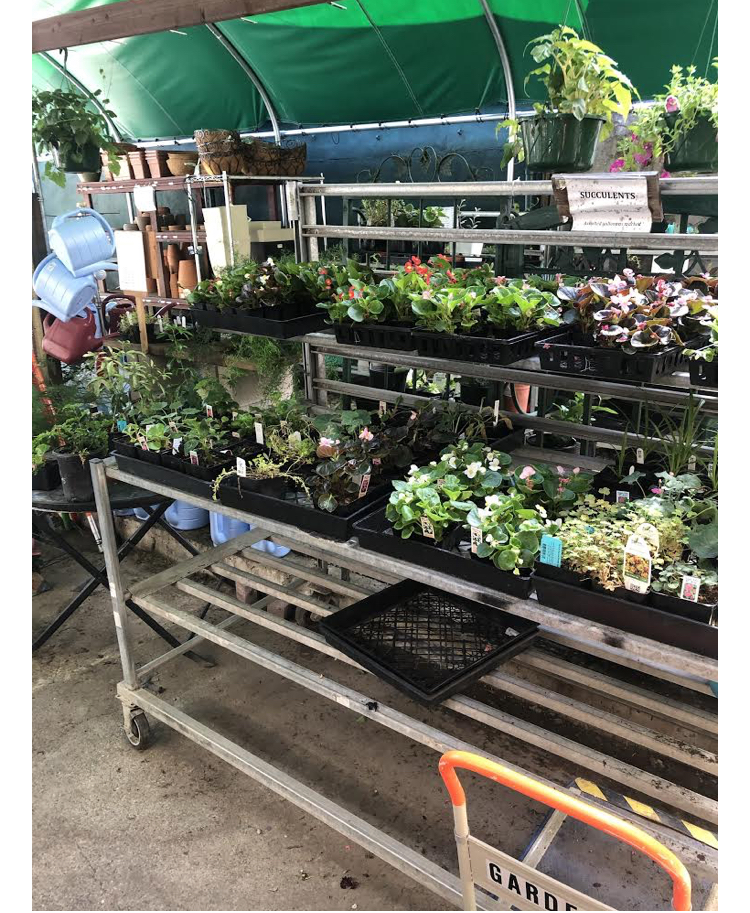 True Value Garden Center photo 2