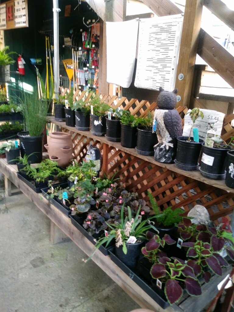 True Value Garden Center photo 3