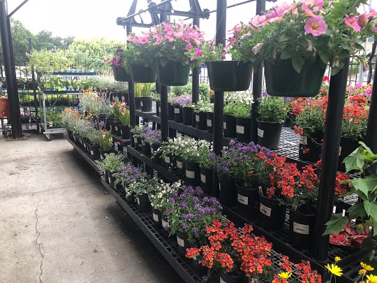 Cloverdale Ace Hardware photo 3