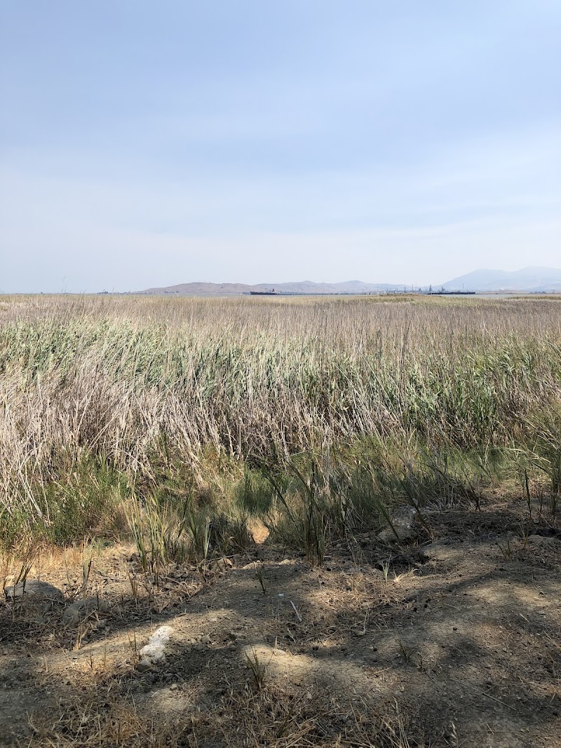 Marsh Observation Trail Picnic Area D photo 3