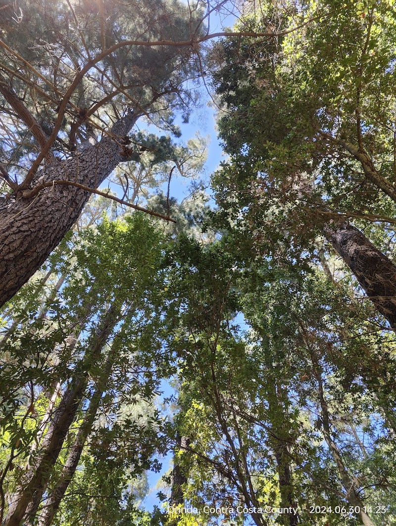 Orinda Connector Staging Area photo 5
