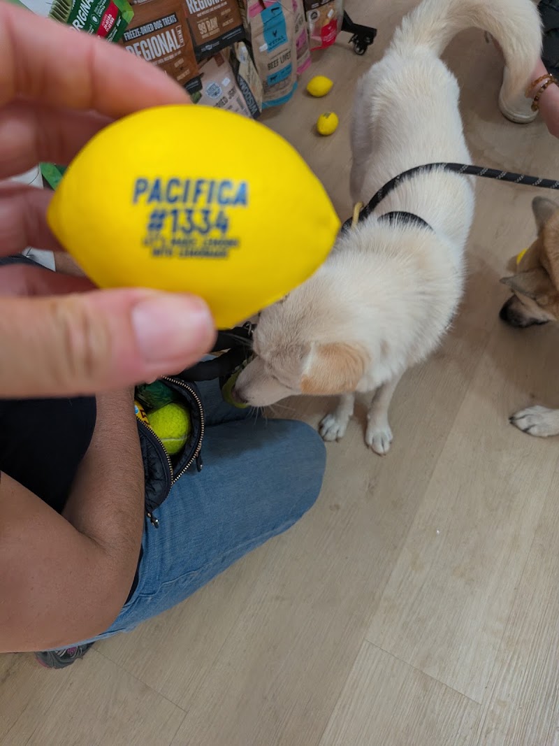 Pawcifica Pet Supplies photo 4