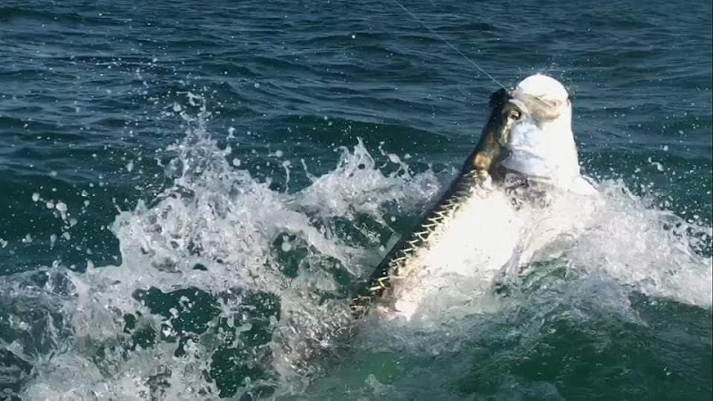 St. Pete Beach Charters photo 4