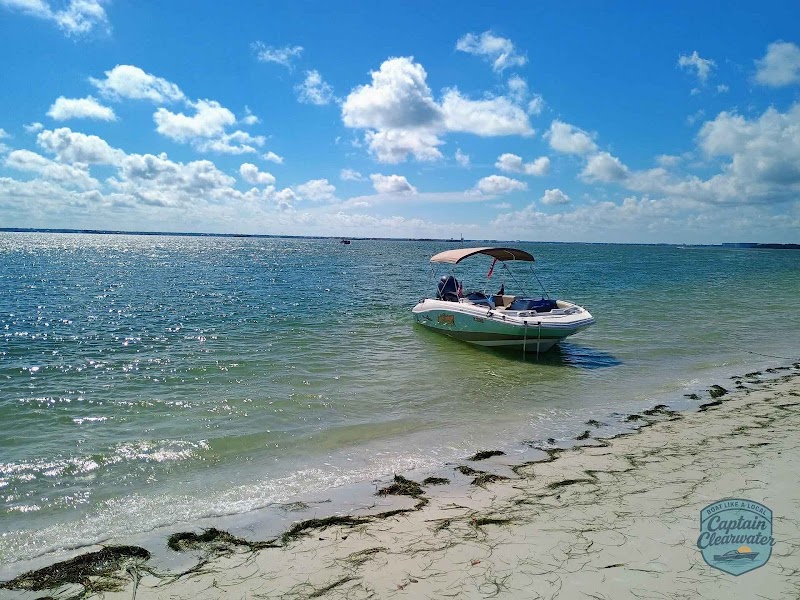 Captain Clearwater photo 3