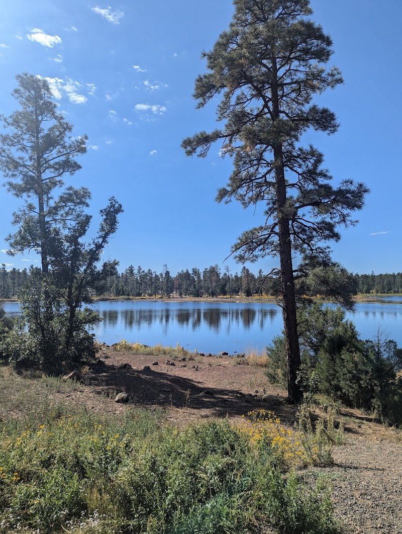 Photo of Woodland Lake Park Picnic Site