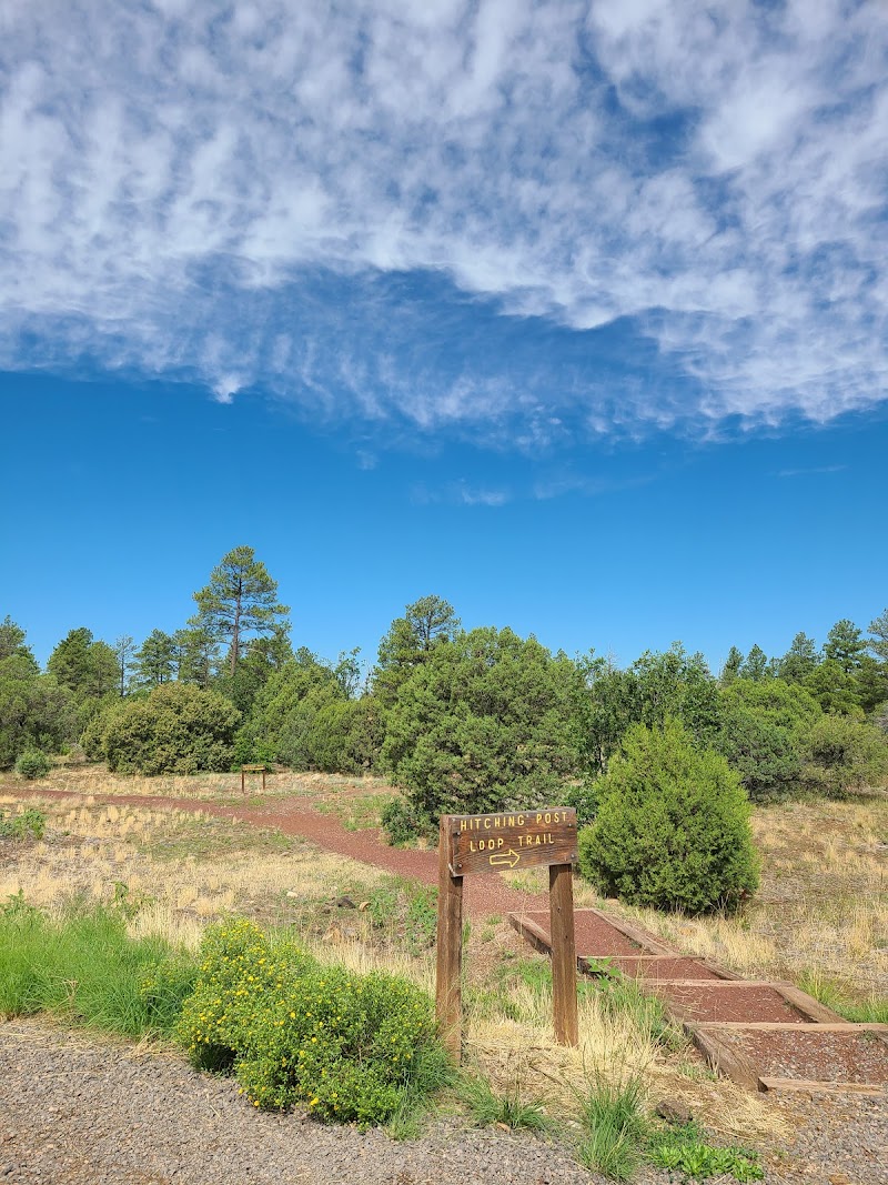 Woodland Lake Park Picnic Site photo 2