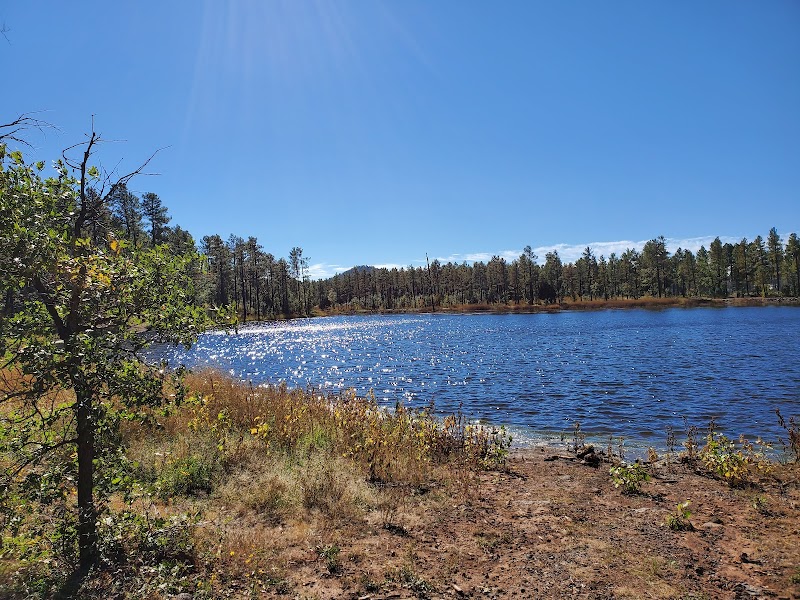 Woodland Lake Park Picnic Site photo 3