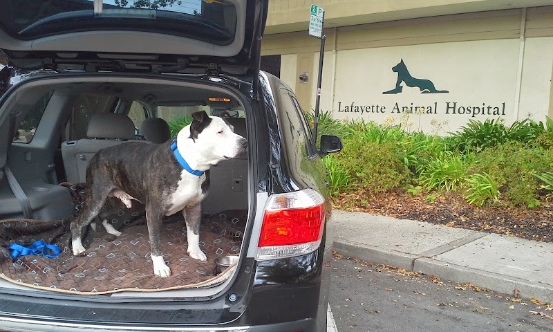 Photo of Lafayette Animal Hospital