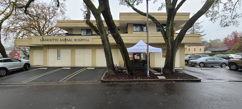 Lafayette Animal Hospital photo 5