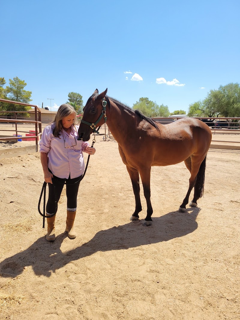 Photo of Sonoran Sky Stables