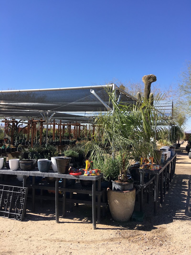 Photo of Acacia Nursery
