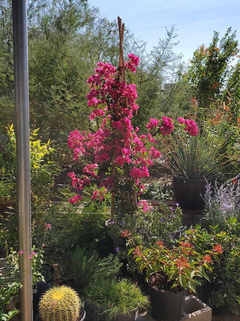Acacia Nursery photo 4