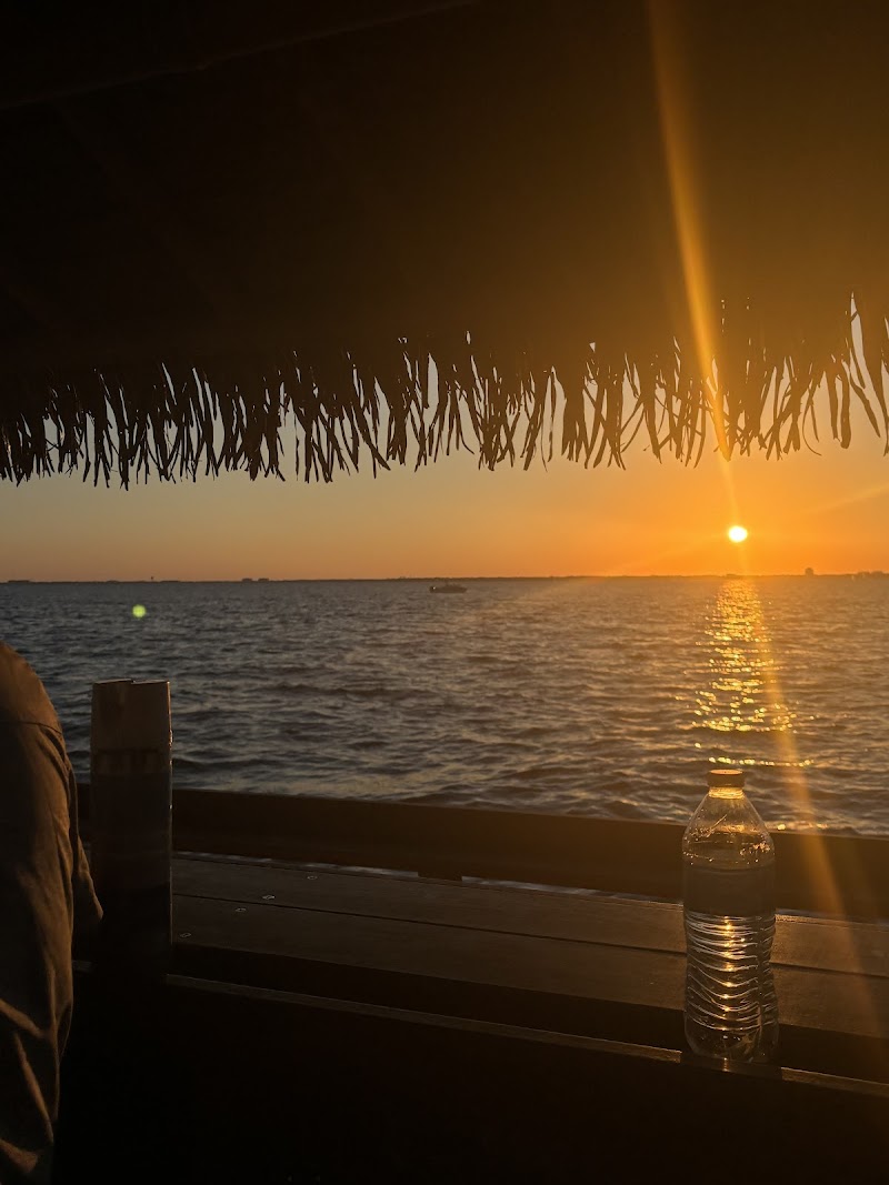 Totally Tiki Tours photo 2