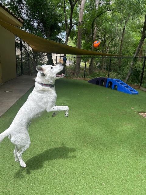 Lakeside Animal Hospital photo 2