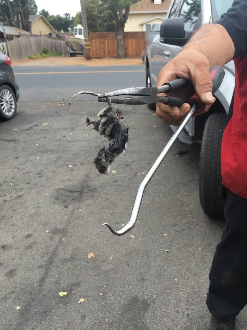 El Verano Auto Repair photo 2