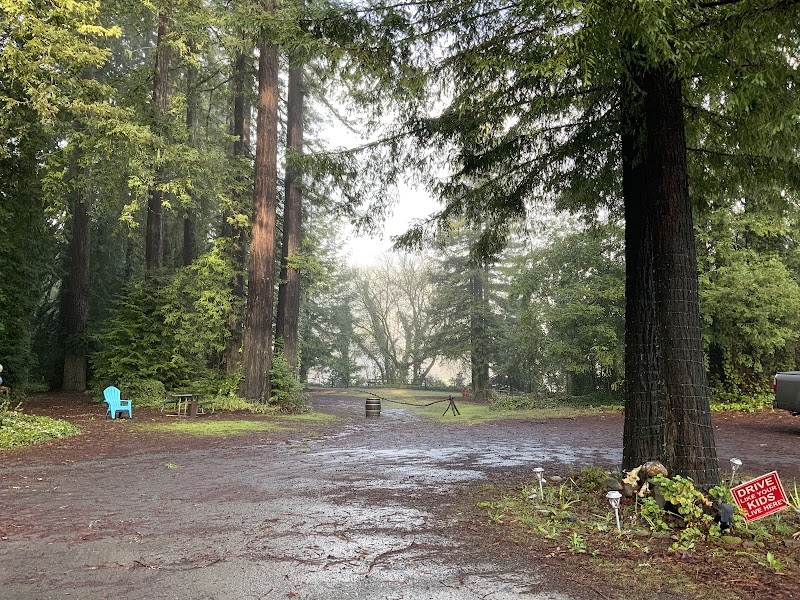 Camp Russian River photo 2