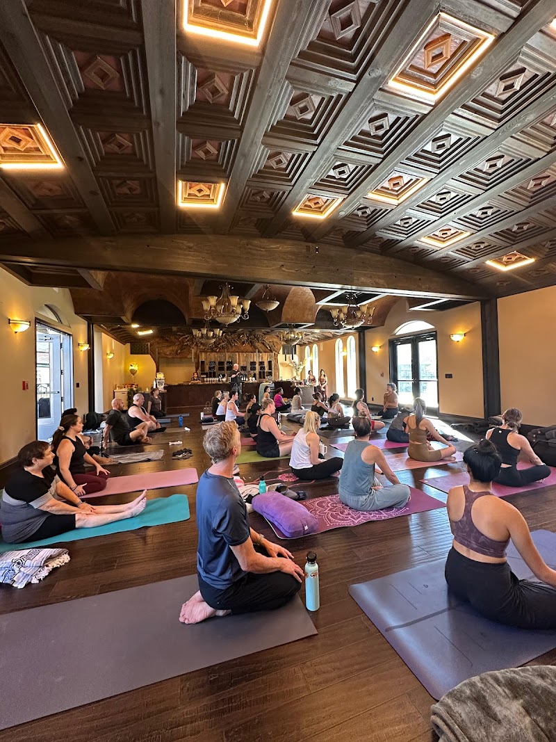 Oasis Wellness Collective photo 5