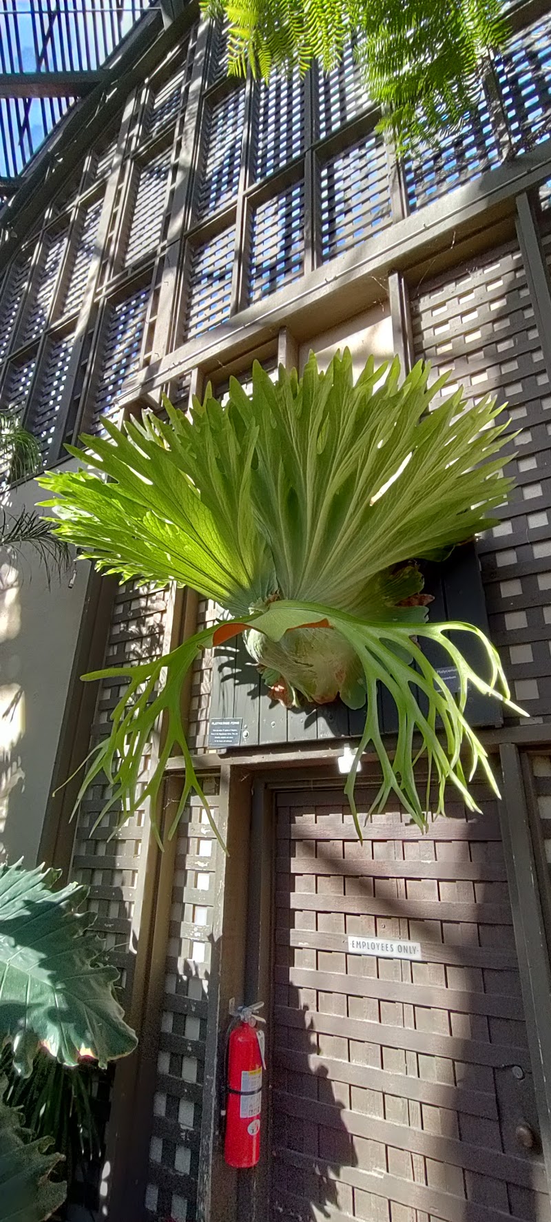 Botanical Building photo 5