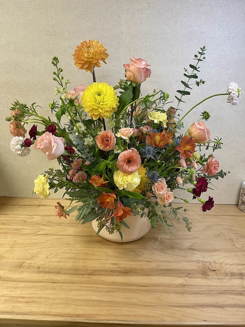 Petal and Blooms photo 3