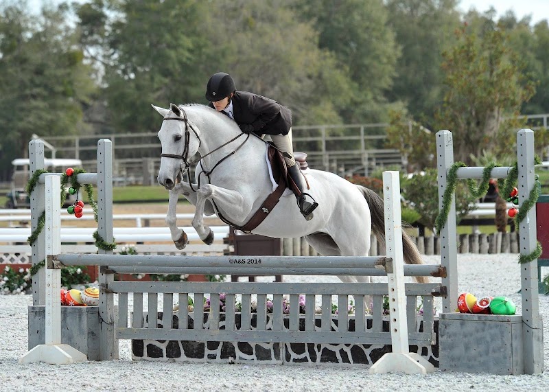 Photo of Lesley Cox Equestrian