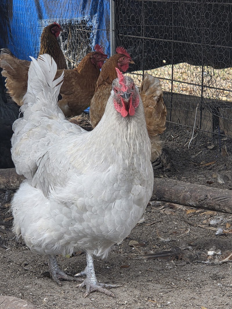 Photo of Gracie Farms