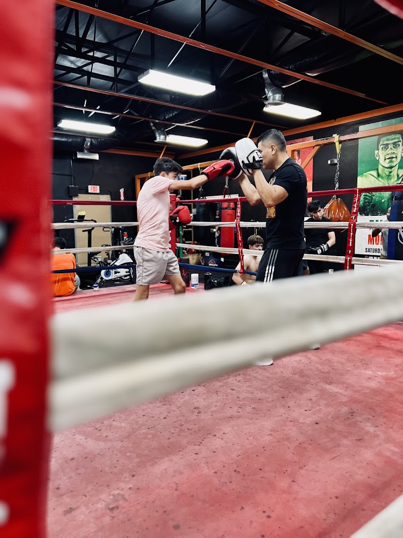 Ramos Boxing Academy photo 4