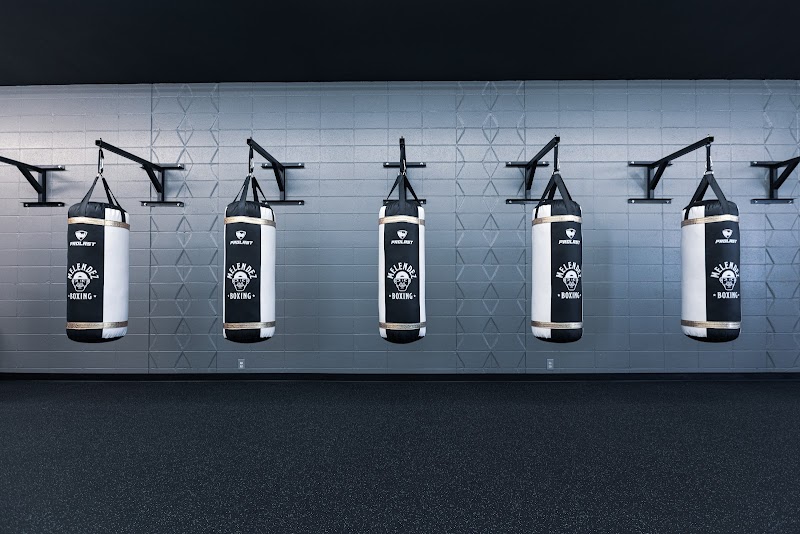 Melendez Boxing and Personal Training photo 5