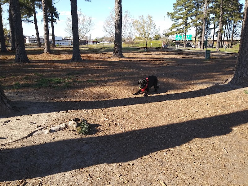 Photo of Benson Dog Park