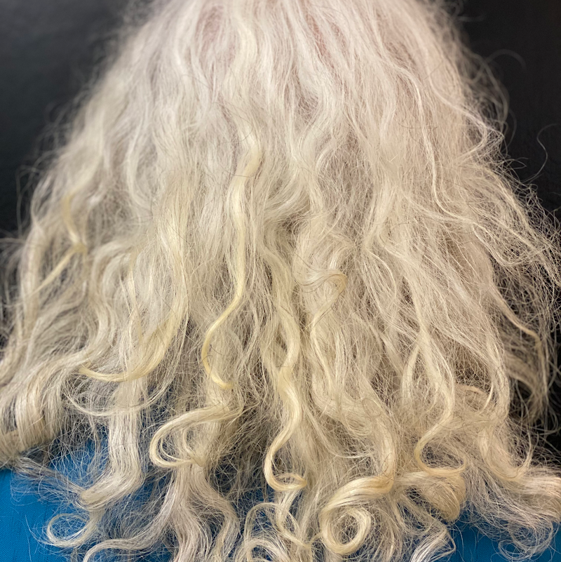 A Wild Hair Salon photo 3