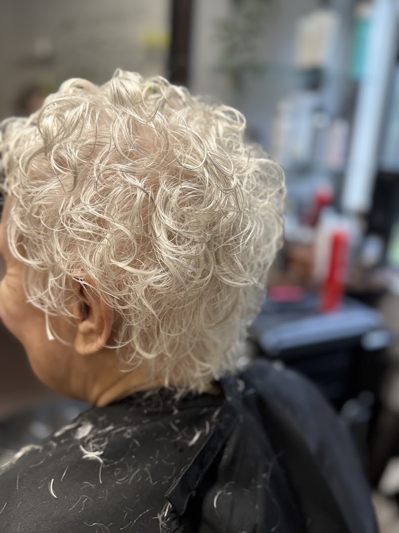 A Wild Hair Salon photo 2